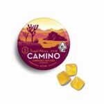 Camino Uplifting Gummies (Pineapple Habanero 100 MG)