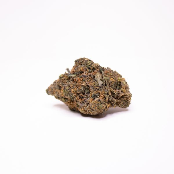 Champagne mimosa strain exotic cannabis online shop