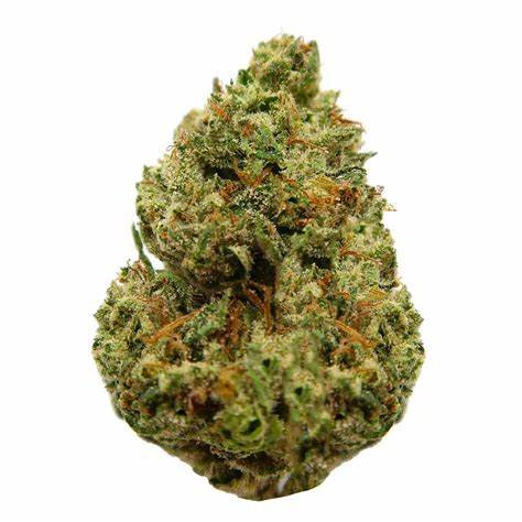 Cherry runtz marijuana strain exotic cannabis online shop