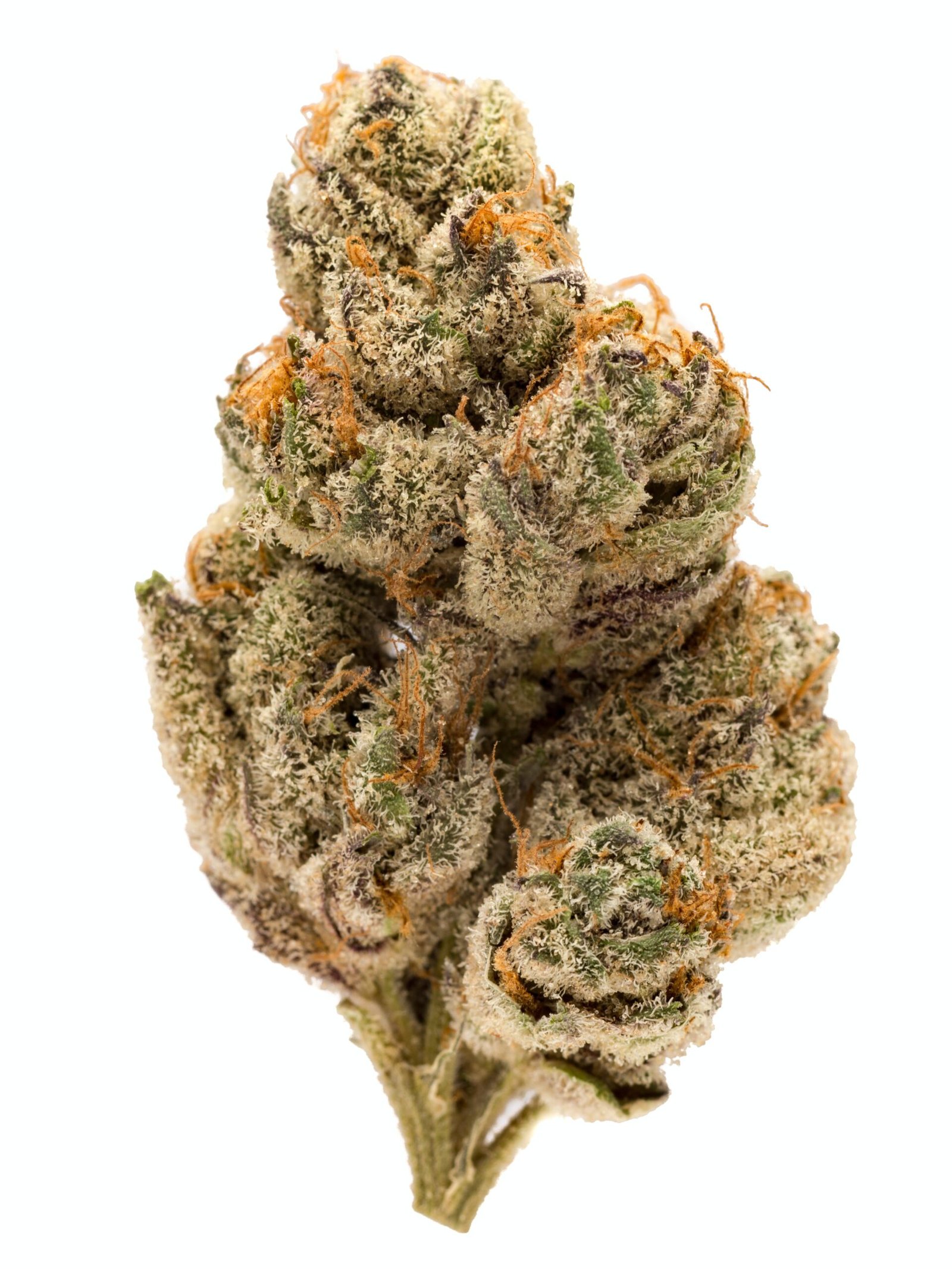 Do si dos strain exotic cannabis online shop