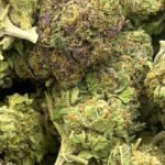 ICE CREAM CAKE (Hybrid Flower)