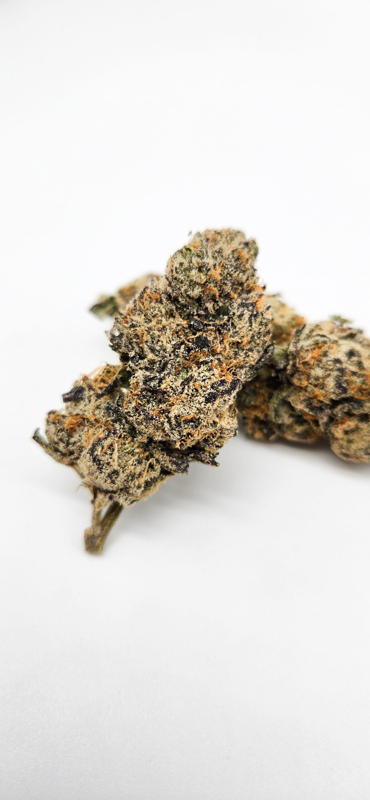 Platinum lemon cherry gelato- 3. 5g exotic cannabis online shop