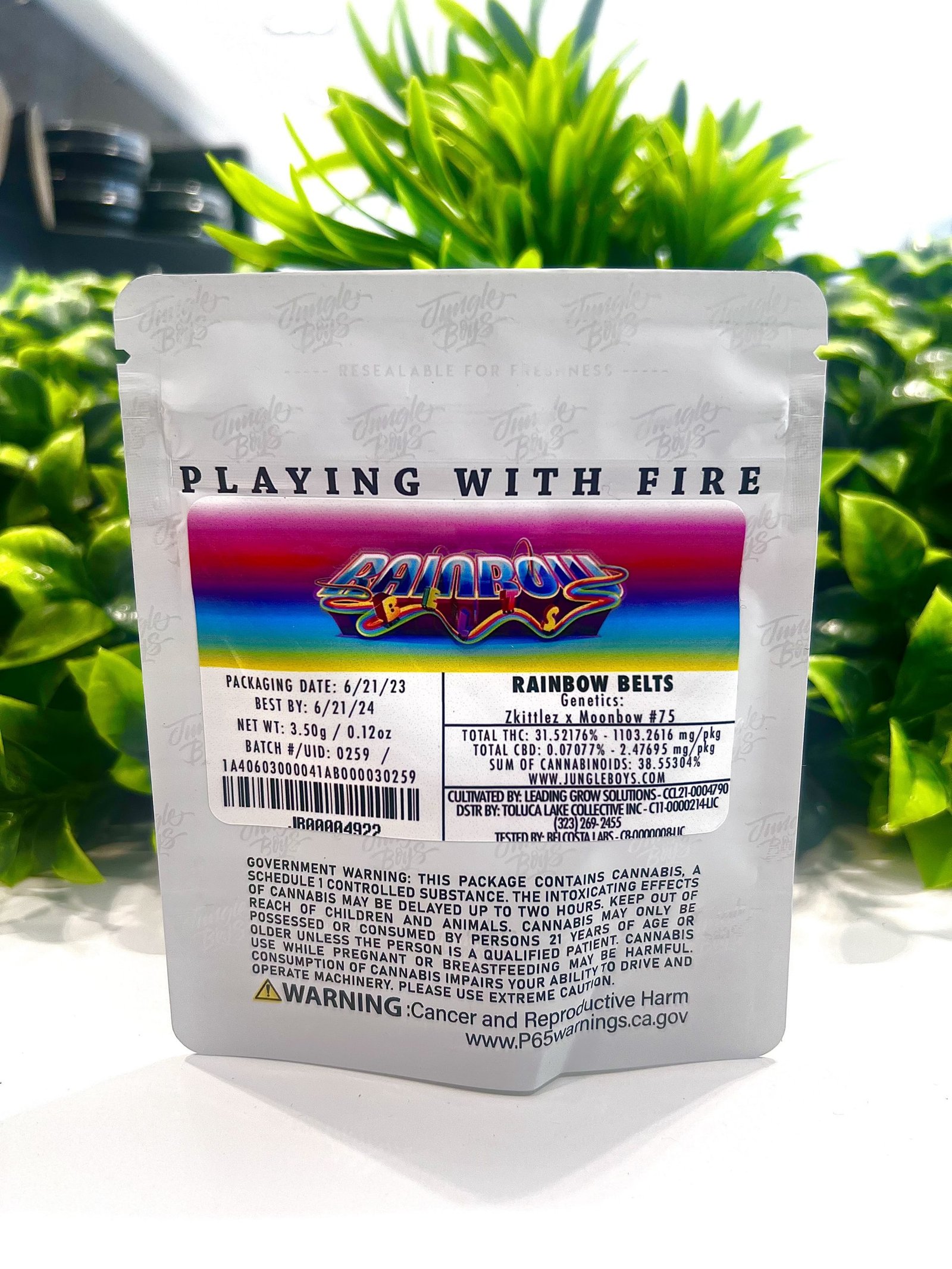 Jungle boys | rainbow belts – 3. 5g flower exotic cannabis online shop