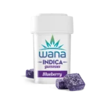 BLUEBERRY (MED)  // INDICA
