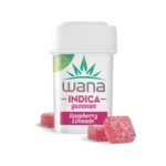 RASPBERRY LIMEADE (HIGH-DOSE MED)  // INDICA