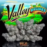 Jungle Boys | Valley Delight – 3.5g Flower