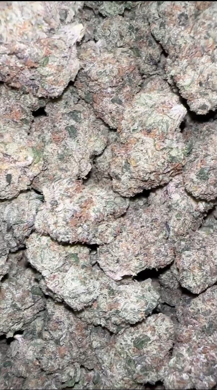 White cherry gelato weed strain exotic cannabis online shop