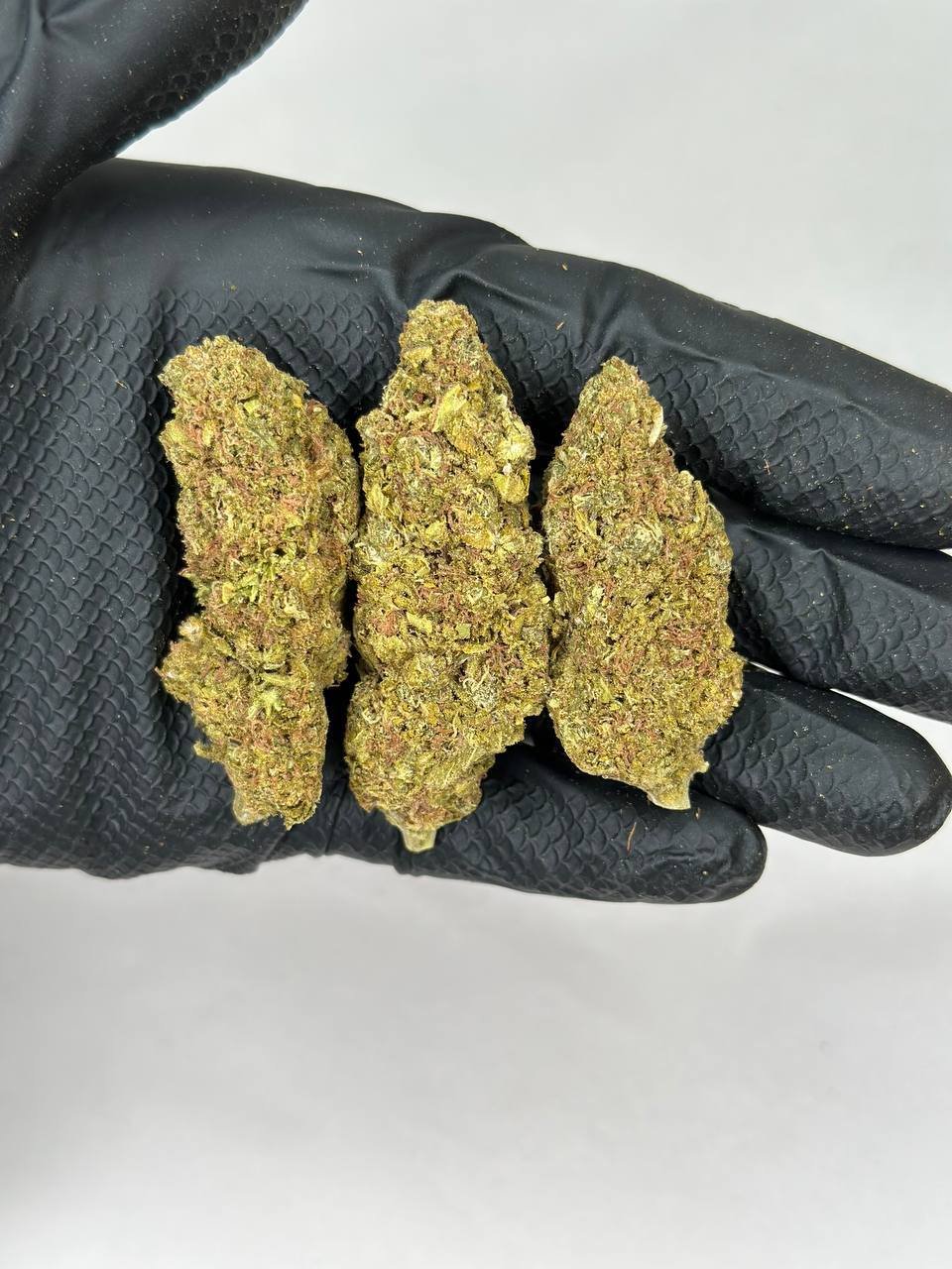 Gummy bear weed strain exotic cannabis online shop