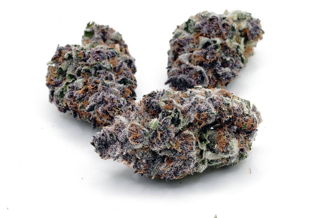 Tropicana cherry strain exotic cannabis online shop