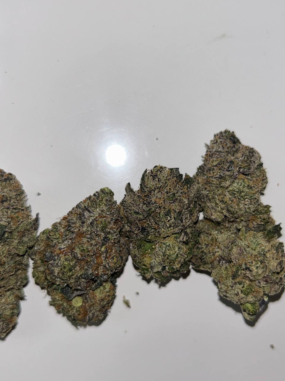 Gushlato weed strain exotic cannabis online shop