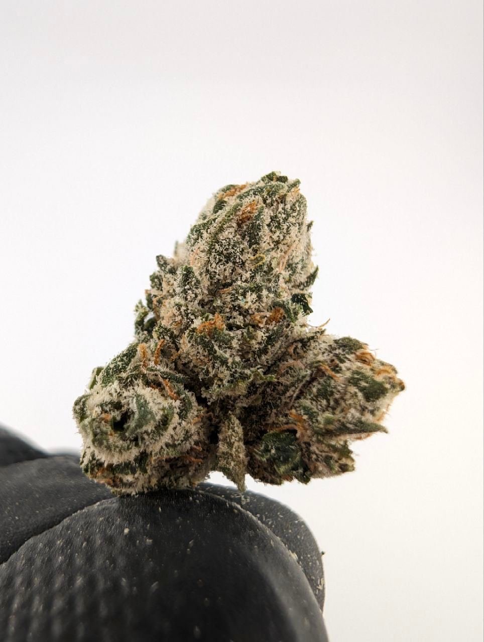 Blue agape strain exotic cannabis online shop