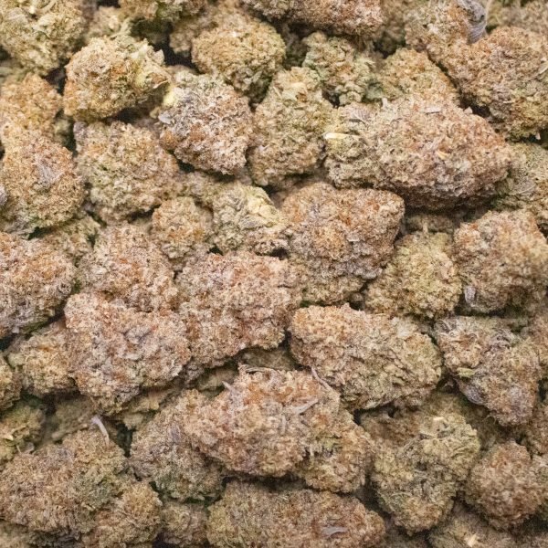 White truffle strain exotic cannabis online shop