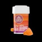 QUICK SUNRISE (REC)  // SATIVA